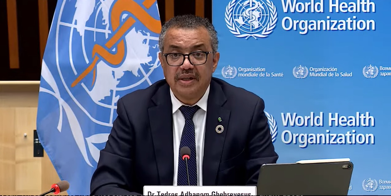 COVID-19 – WHO: Kelompok penasihat mungkin kesempatan terakhir temukan asal virus