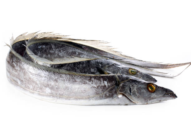 makanan taiwan terkontamisasi covid