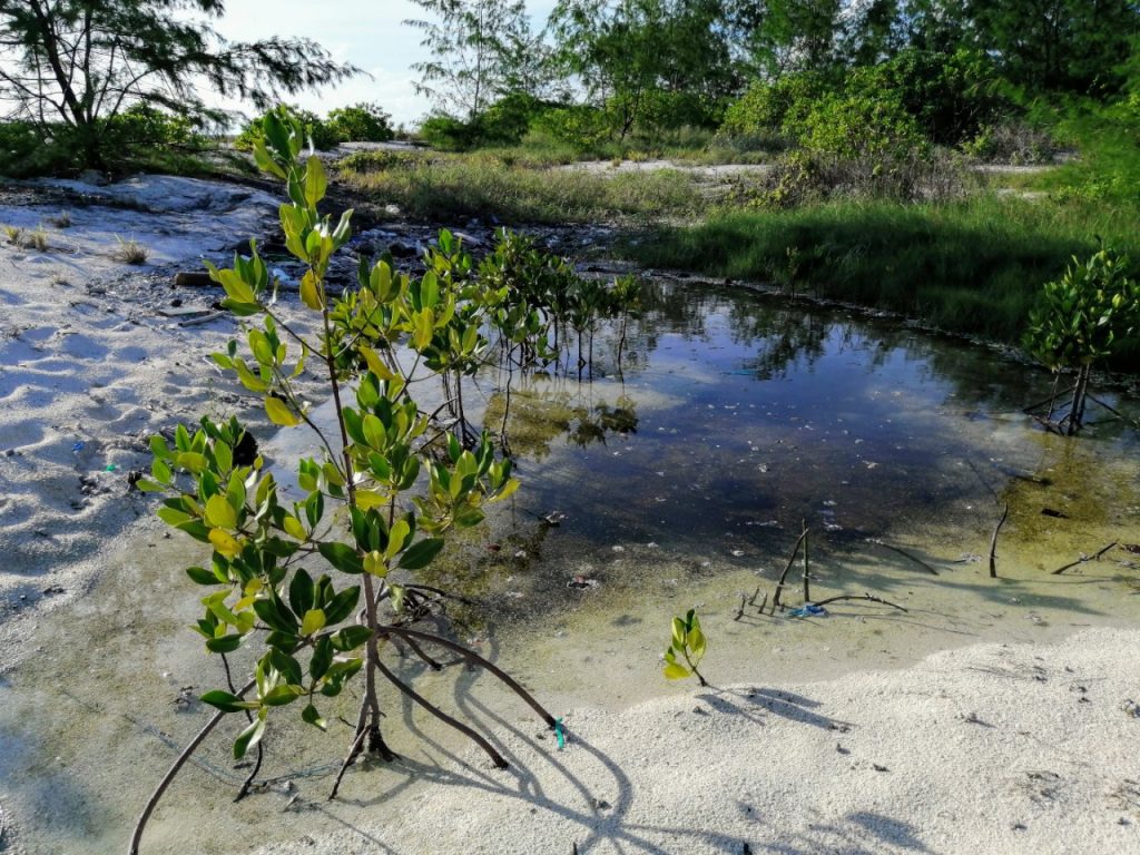 stabilitas ekonomi indonesia