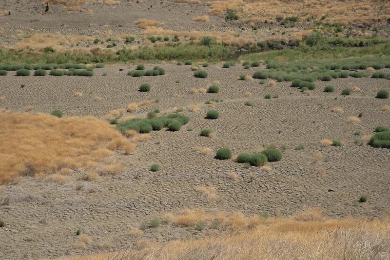 strategi air california