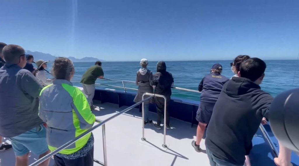 perubahan iklim selandia baru