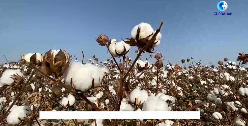 Produk Xinjiang China