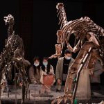 Kepunahan dinosaurus