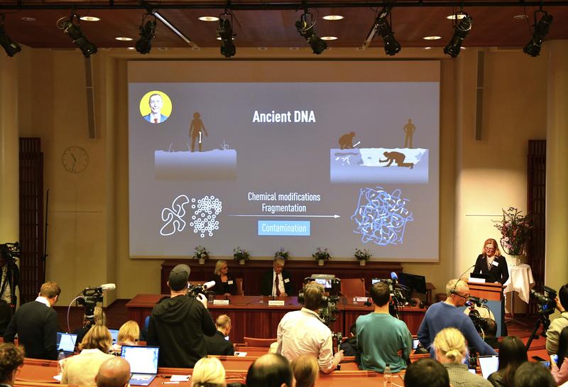 Penghargaan Nobel 2022 bidang Kimia