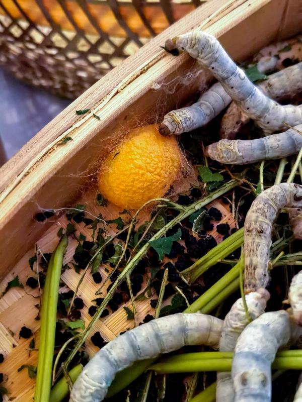 Sutra artifisial super kuat