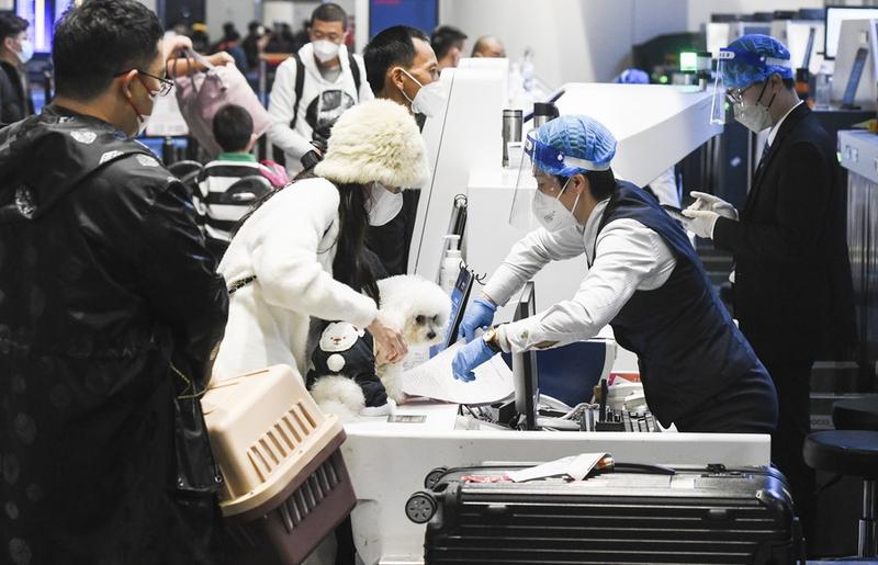 Libur Festival Musim Semi