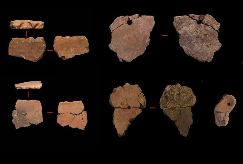 Fosil tengkorak Homo erectus