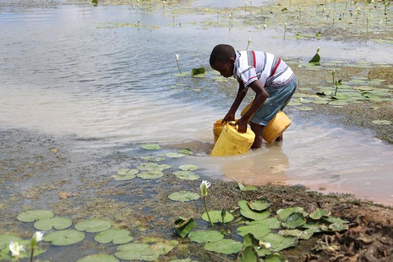 Kerawanan pangan akut
