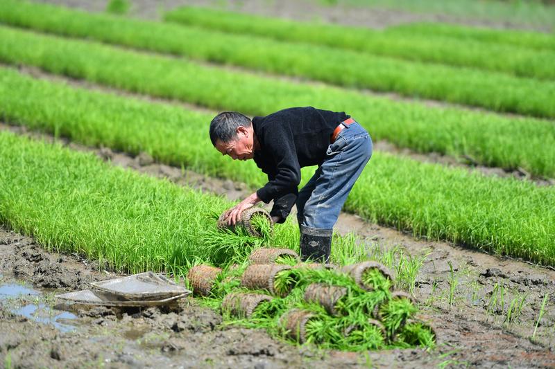 Presiden China Xi Jinping