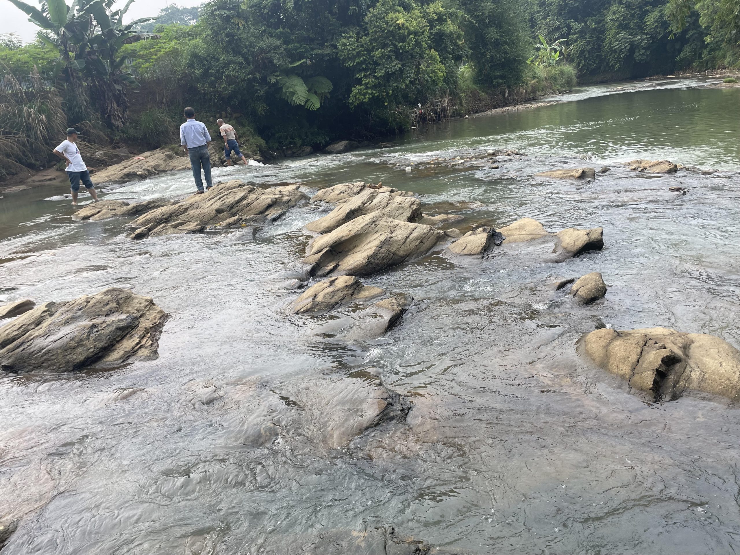 Komunitas lingkungan