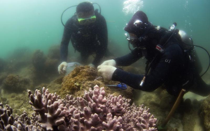 Peternakan laut berteknologi tinggi 
