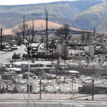 Abu dari kebakaran hutan