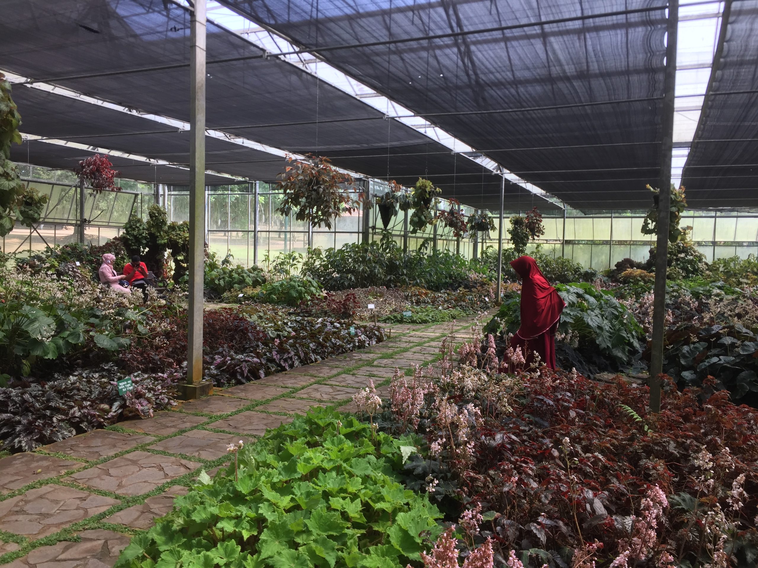 Keanekaragaman hayati terestrial Indonesia