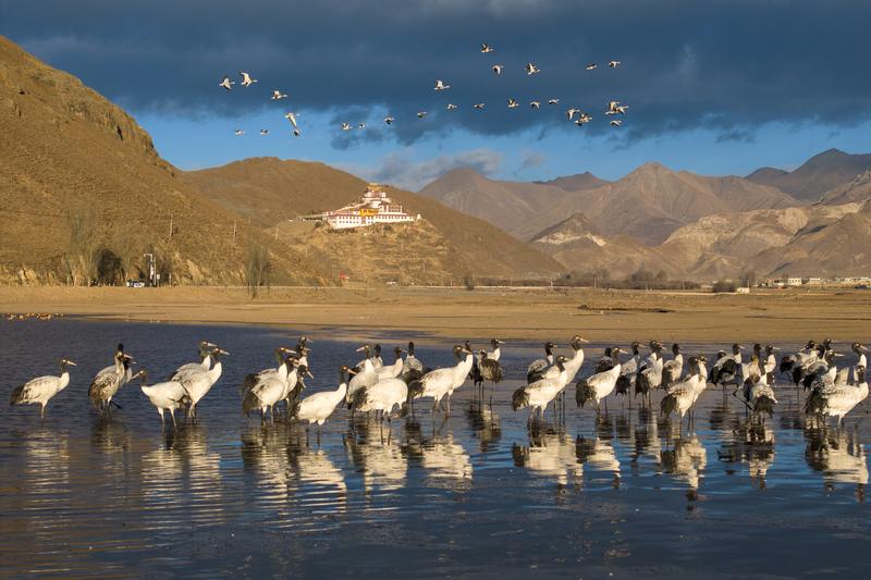 Perdagangan hak penggunaan air
