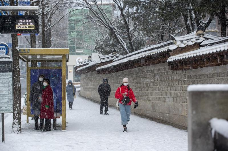 Jumlah populasi Korea Selatan