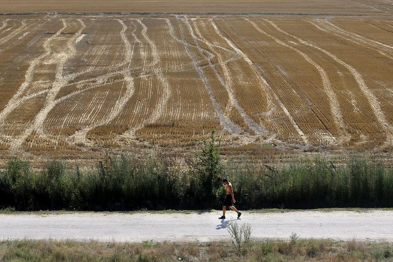 Suhu global memecahkan rekor