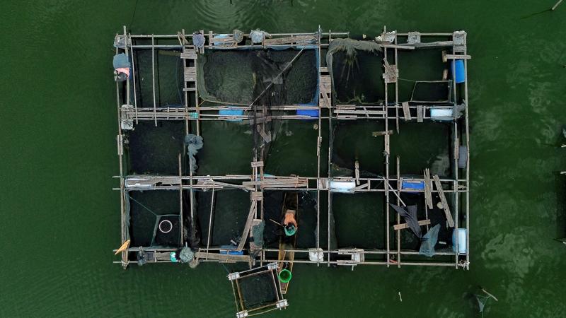 Nilai investasi asing sektor