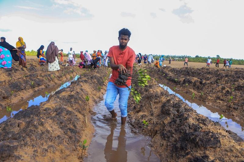 Dekade Restorasi Ekosistem PBB