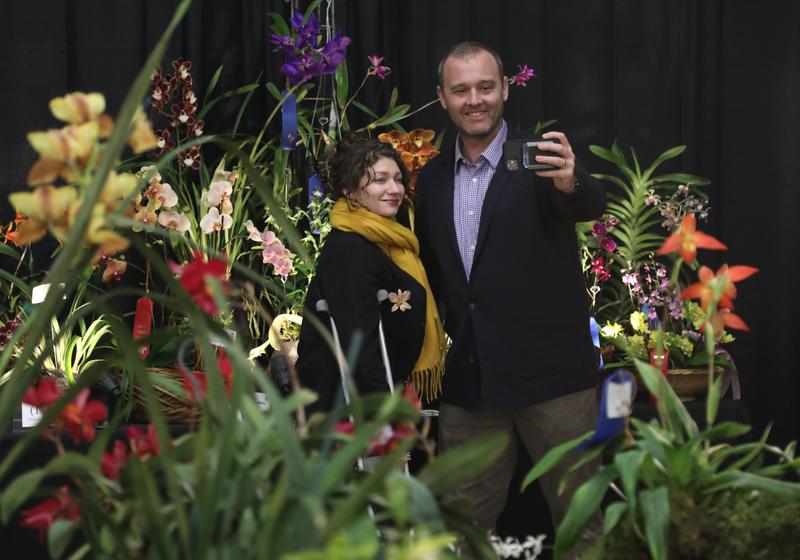 Spesies anggrek baru ditemukan