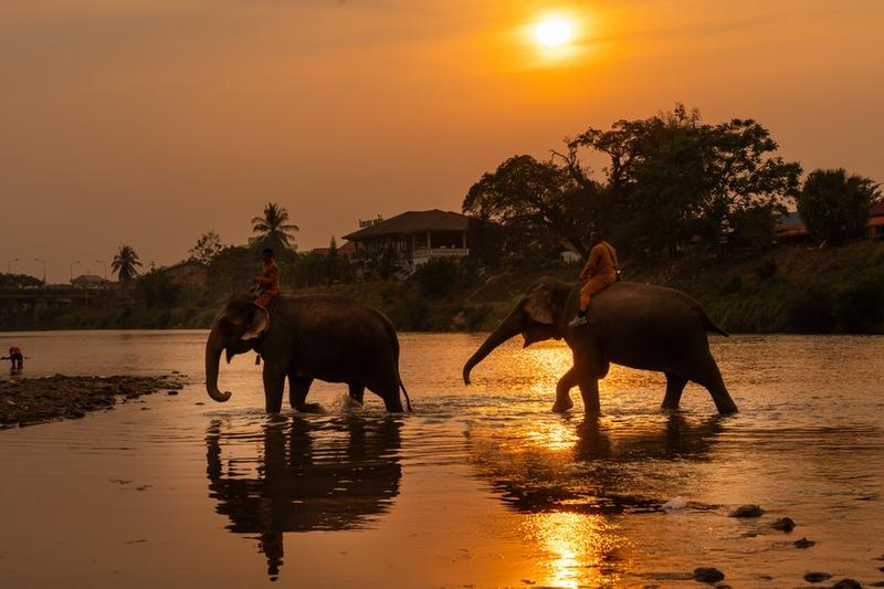 Tahun Pariwisata Internasional