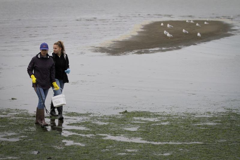 Fasilitas hidrogen dan amonia