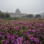 Situasi di perbatasan China-India