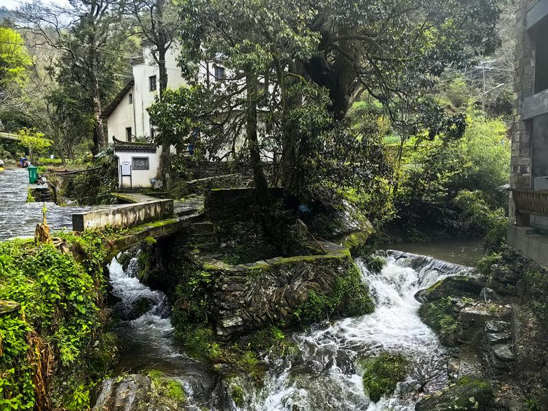 Pembudidayaan ikan air tawar