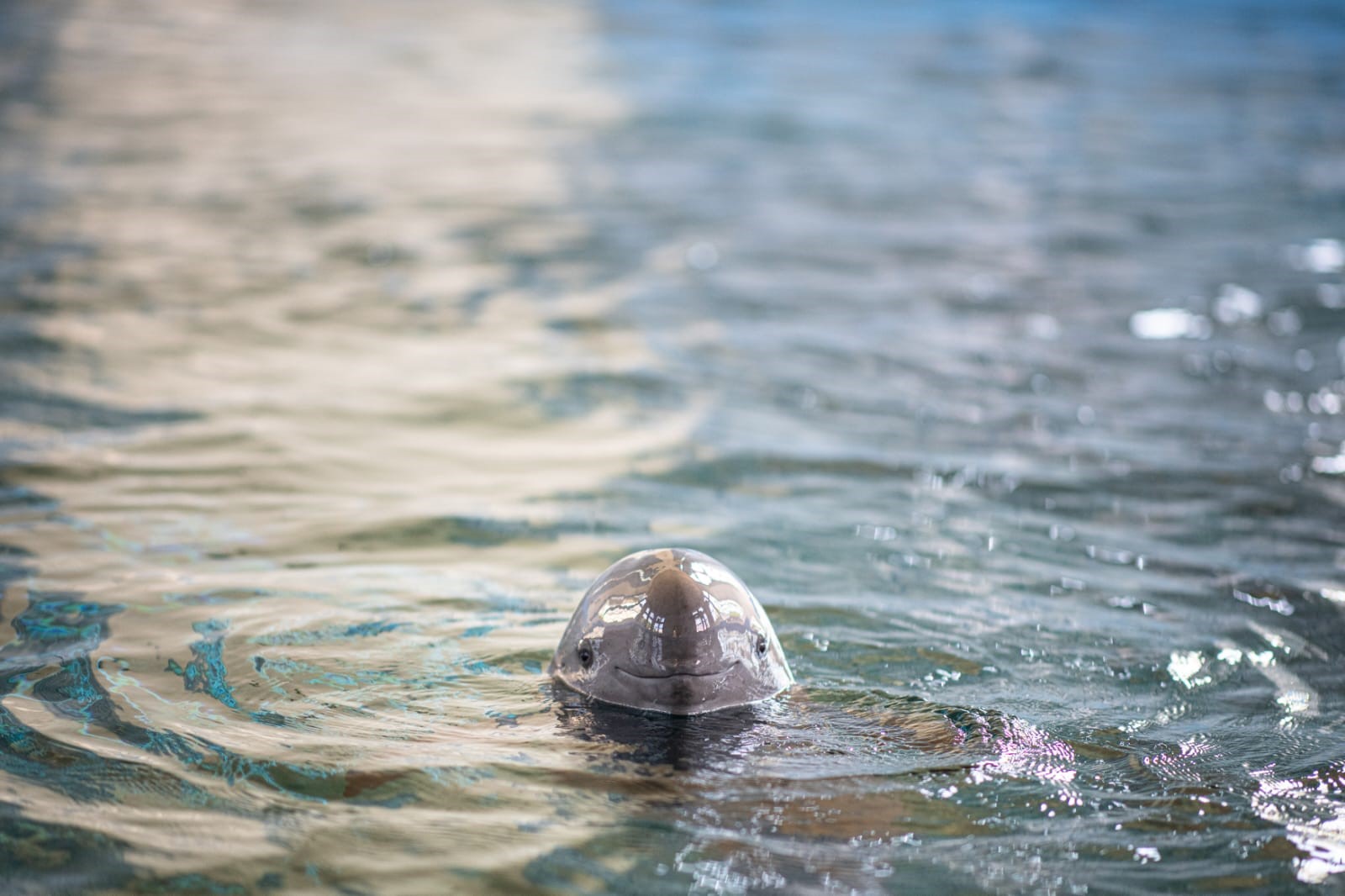 The 2024 Nanjing Dialogue