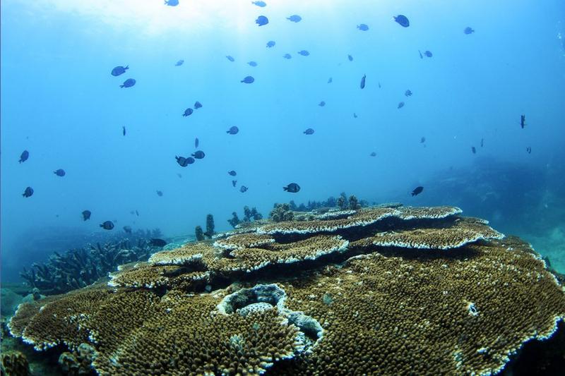 Radiasi matahari bervariasi