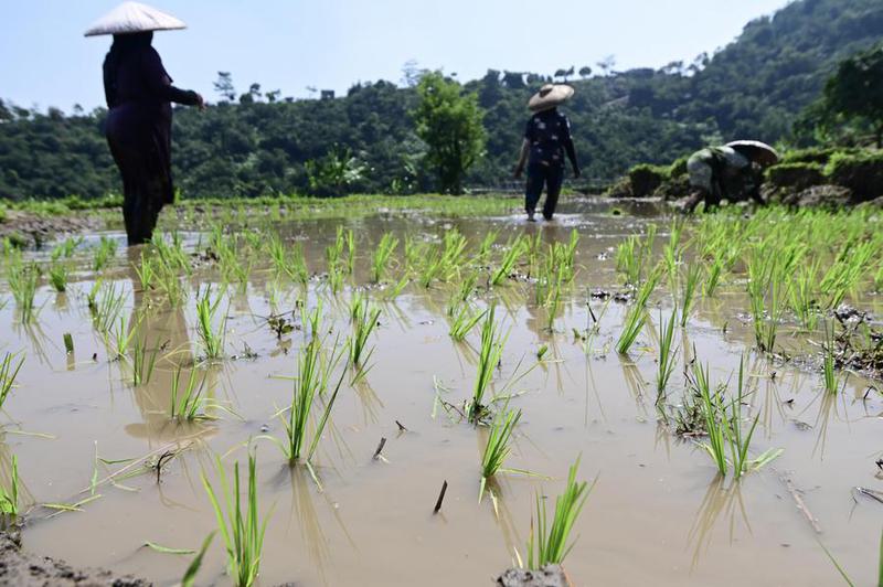 Duet petani Haji Iyas