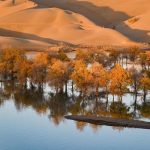 pendorong utama perbaikan ekologis