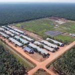 produksi minyak kelapa sawit