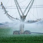 efisiensi penggunaan air memainkan