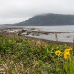 laguna pesisir merupakan ekosistem