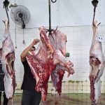 kegiatan penyembelihan hewan kurban