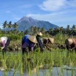 risiko ekologis jangka panjang