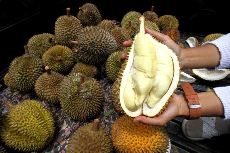 kesepakatan protokol ekspor durian