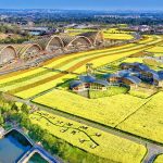 beras terkarbonisasi