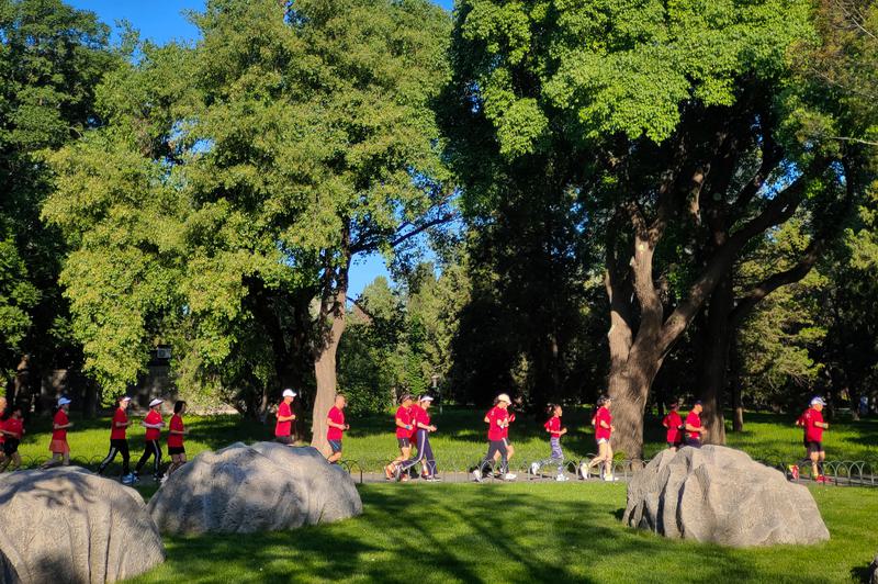 zat yang disebut betaine