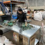 mengekstraksi emas dari bijih