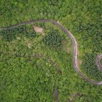 sifat-sifat benih menyimpan