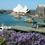 ReNeuWell merupakan aplikasi seluler