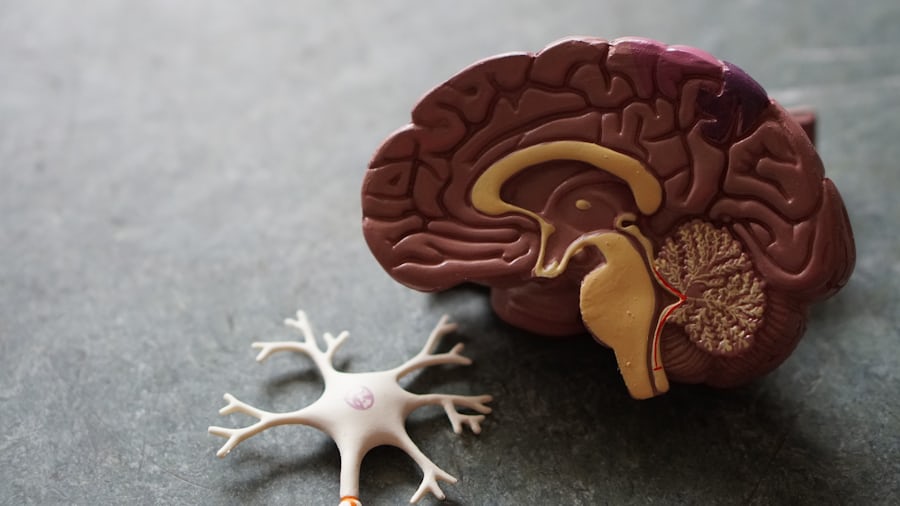 neuron-neuron yang pertama