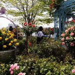 ekonomi Korea Selatan menghadapi