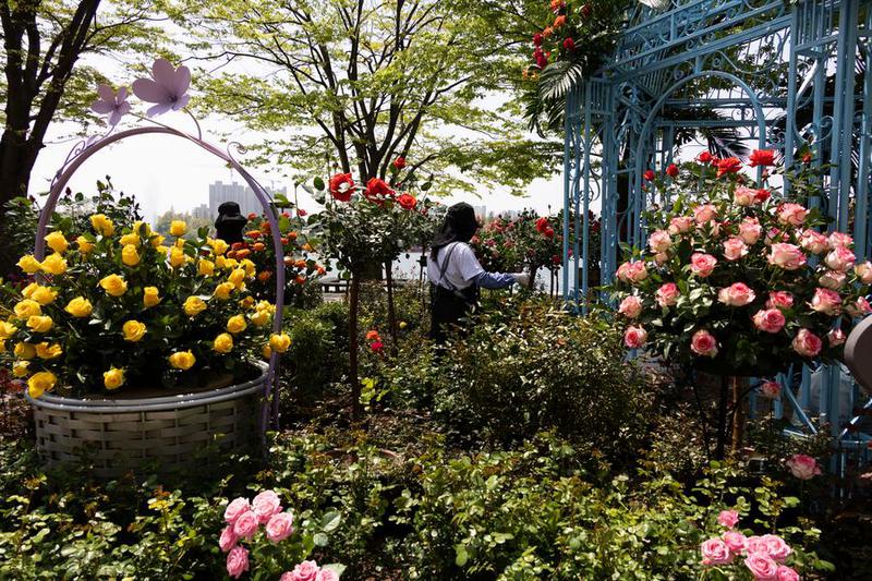 ekonomi Korea Selatan menghadapi