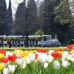 perusahaan-perusahaan Italia yang