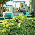 nilai ekspor komoditas Australia