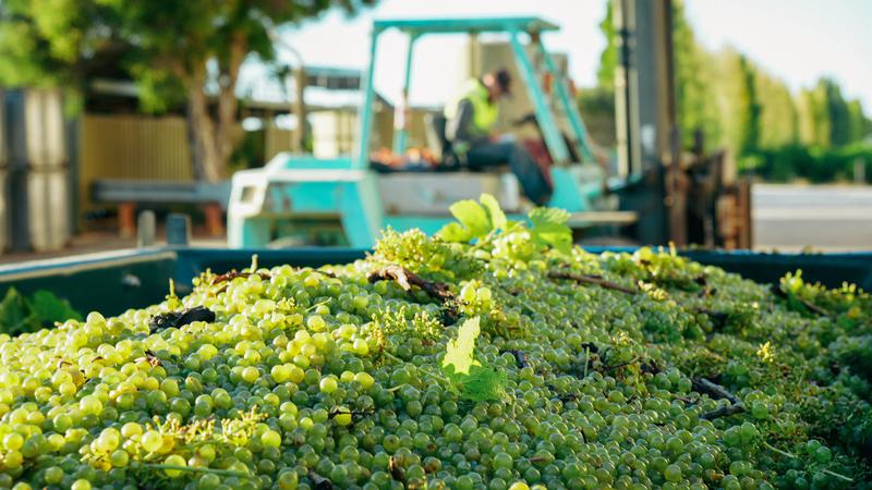 nilai ekspor komoditas Australia