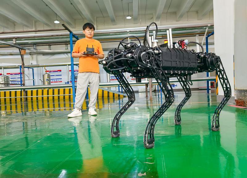 robot anjing yang diproduksi