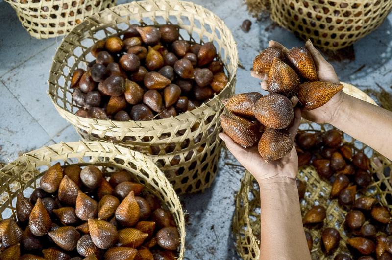 tingginya permintaan buah salak